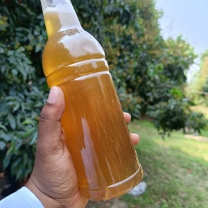লিচু ফুলের মধু